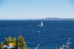 22 pogled